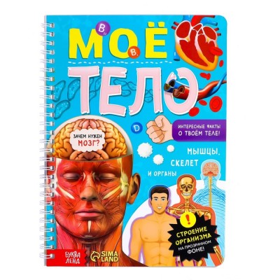 Книга с прозрачными страницами «Моё тело»